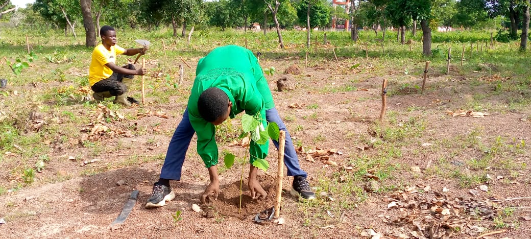 Préparation de la journée internationale de la biodiversité à l'IUEP de Djougou